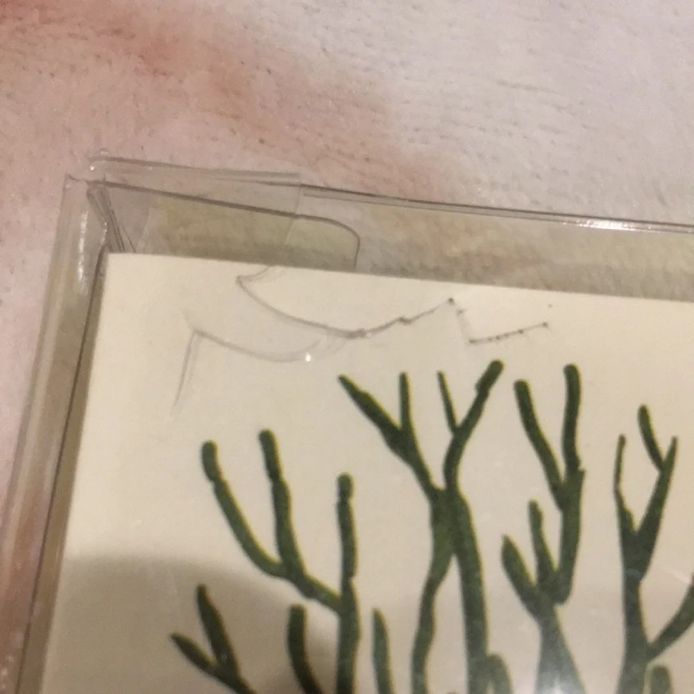 Cactus Succulent Note Card Set of 10 NWT with green envelopes recycled paper